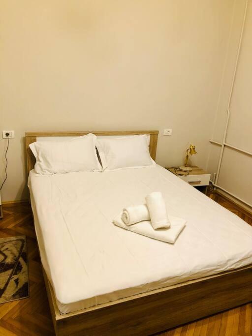 Ultra-Central And Elegant Ap In Opera Square Vic23 Тимишоара Екстериор снимка